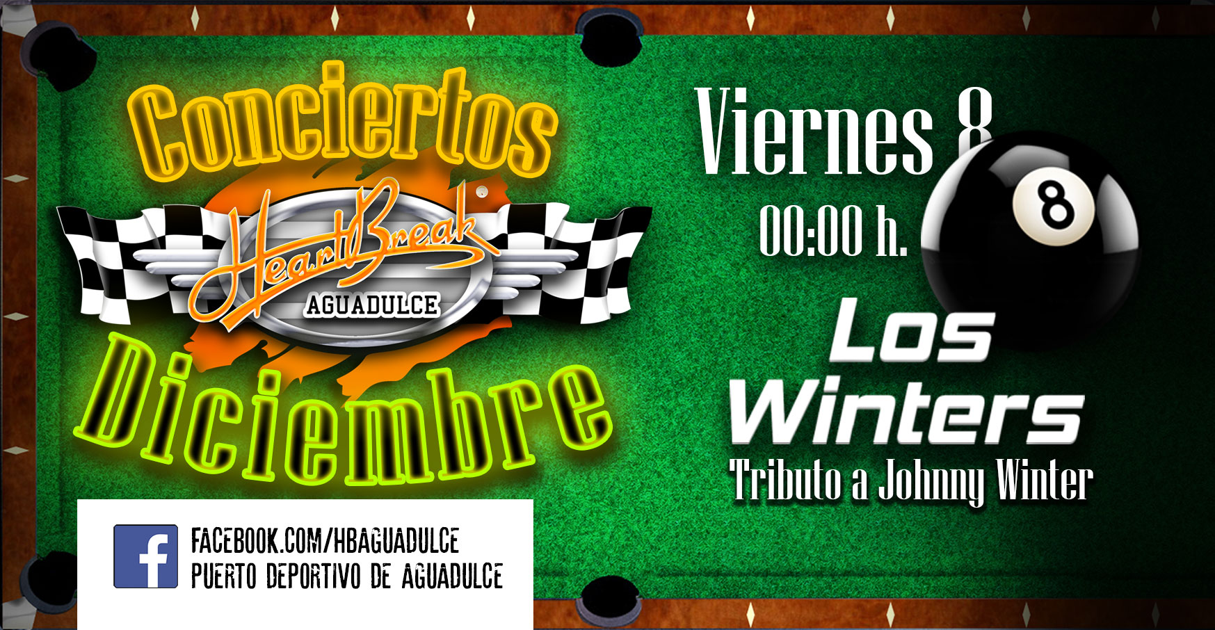 Concierto de Los Winters