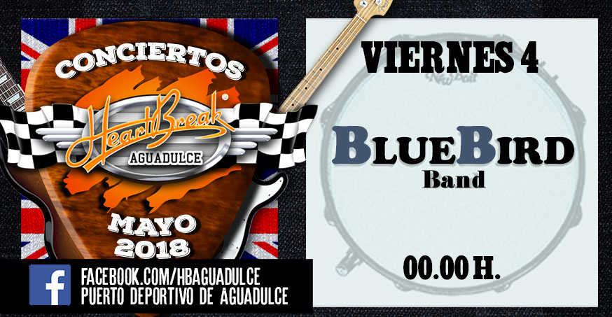 Concierto de Blue Bird Band