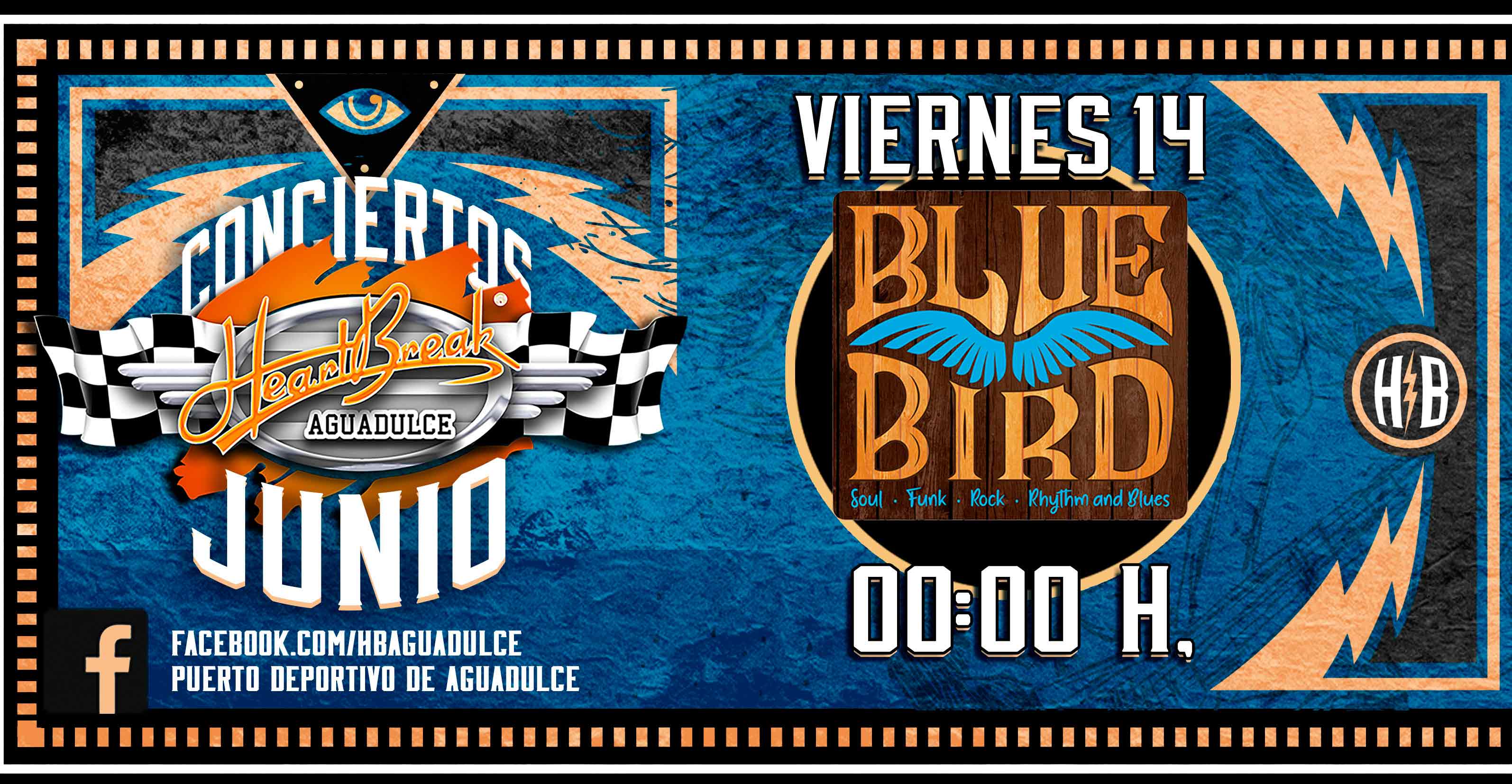 Concierto de Blue Bird Band