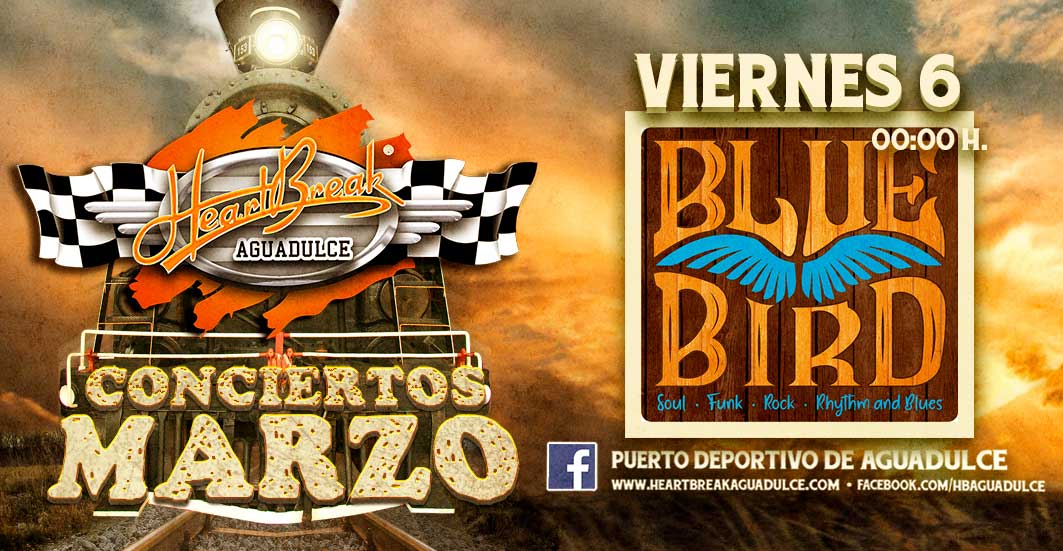 Concierto de Blue Bird Band