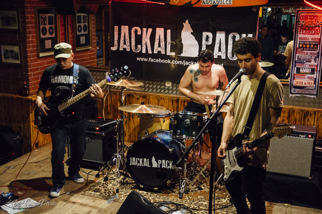 Jackal-Pack