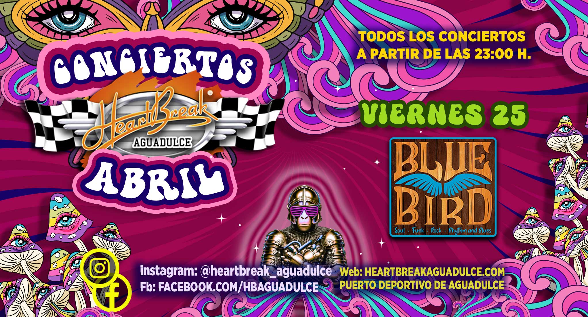 Concierto de Blue Bird Band