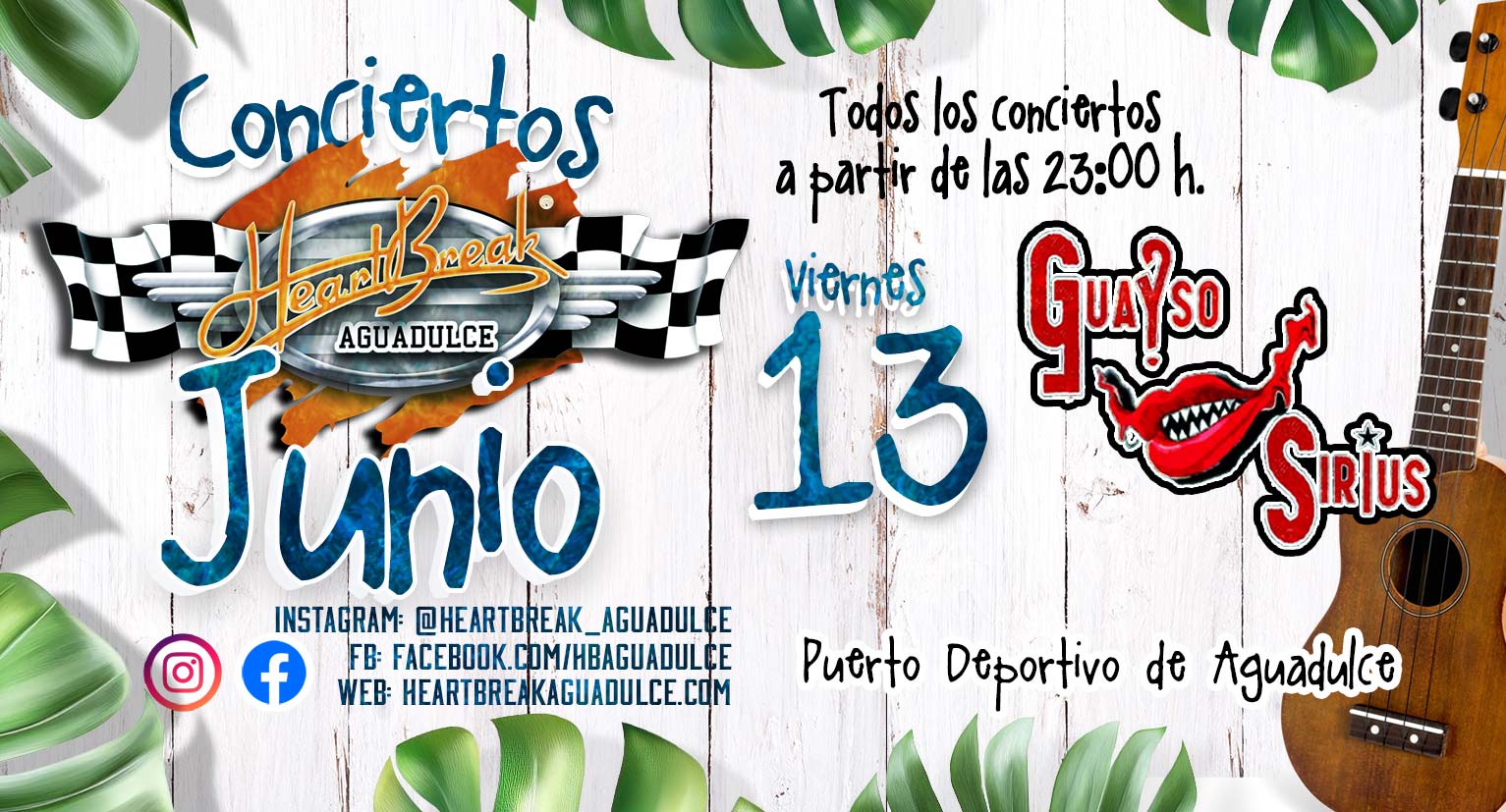 Concierto de Guayso