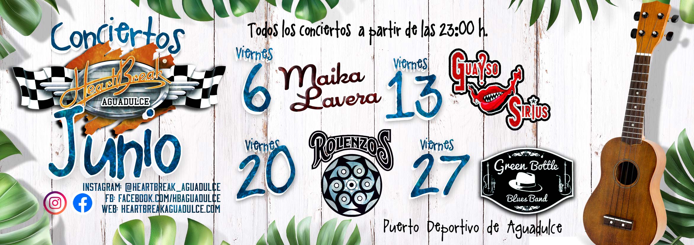 Concierto mes de Junio
