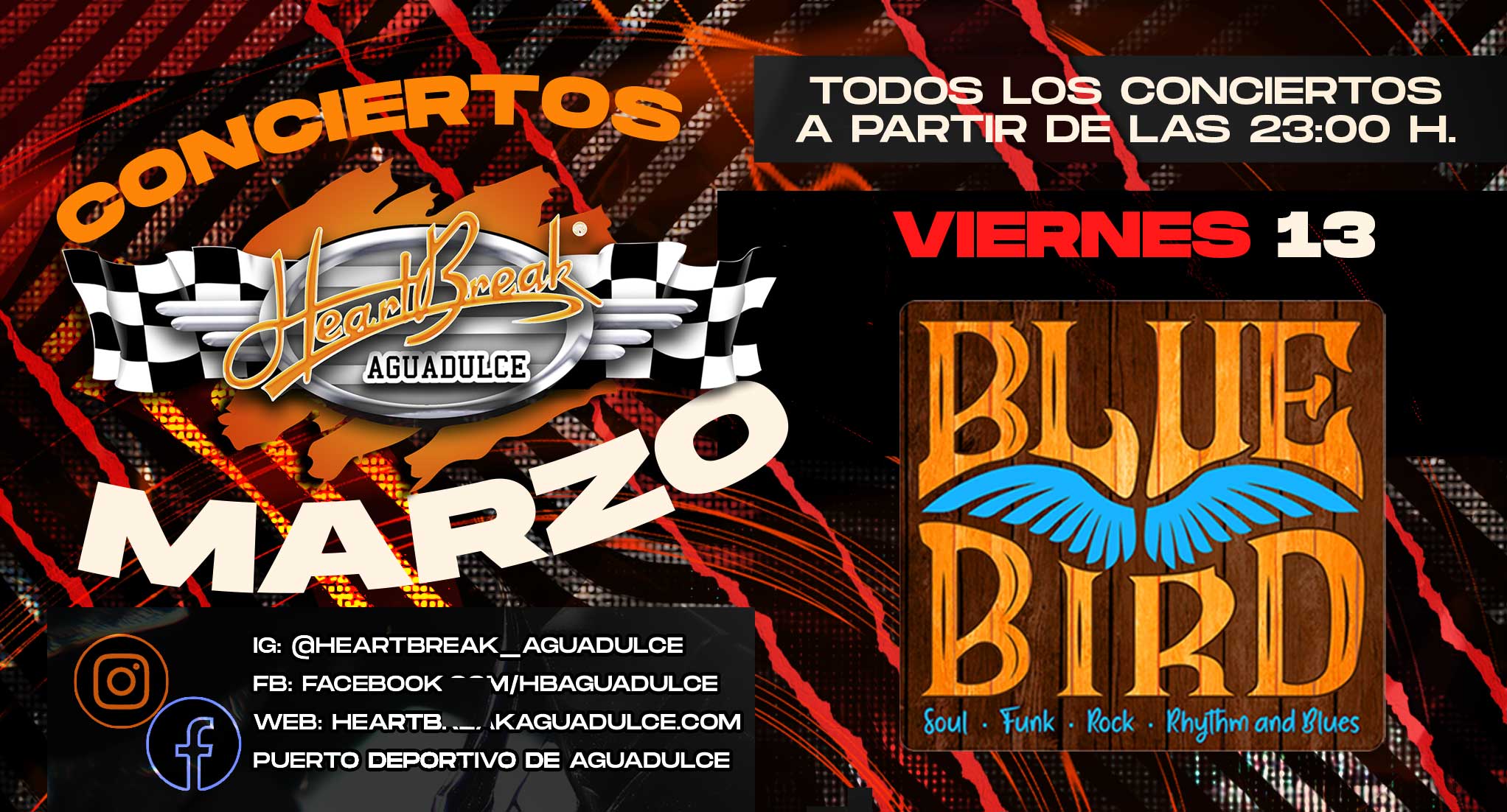Concierto de Blue Bird Band